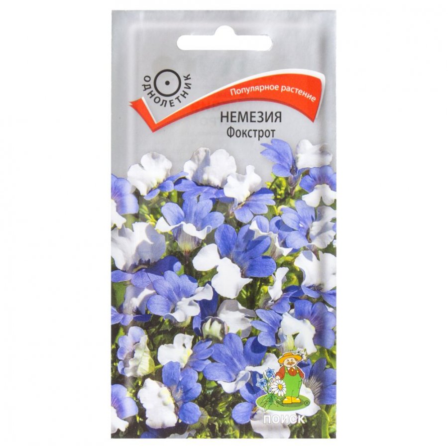 Семена Немезии Купить В Спб