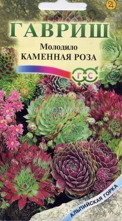 Молодило Каменная роза 0,01г серия Альпийская горка