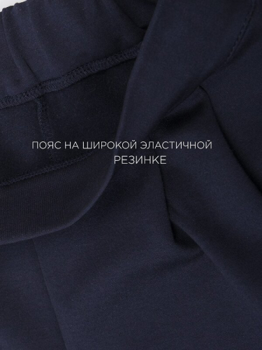 #487654 Брюки