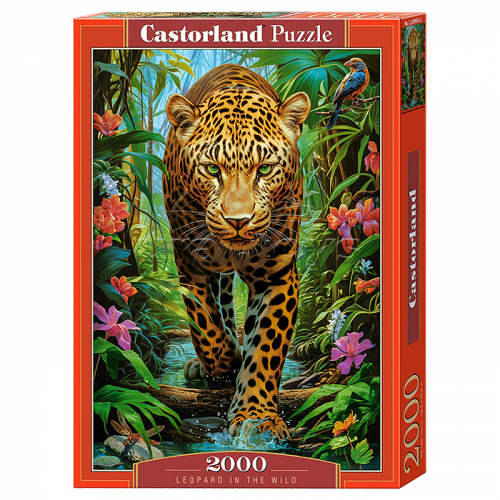 Пазлы 2000 