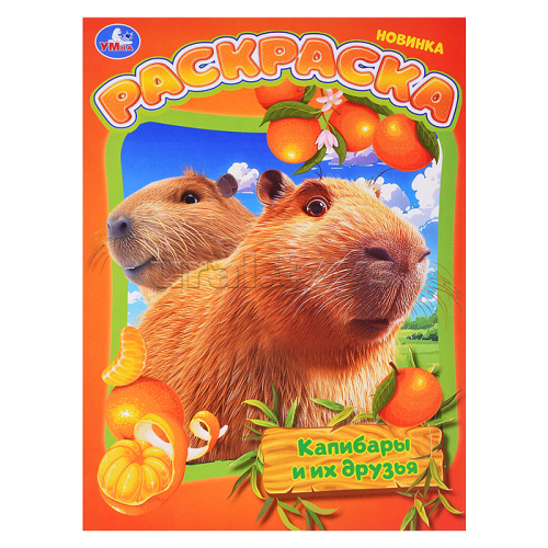 Раскраска. Капибары и их друзья. 214х290 мм. Скрепка. 16 стр.