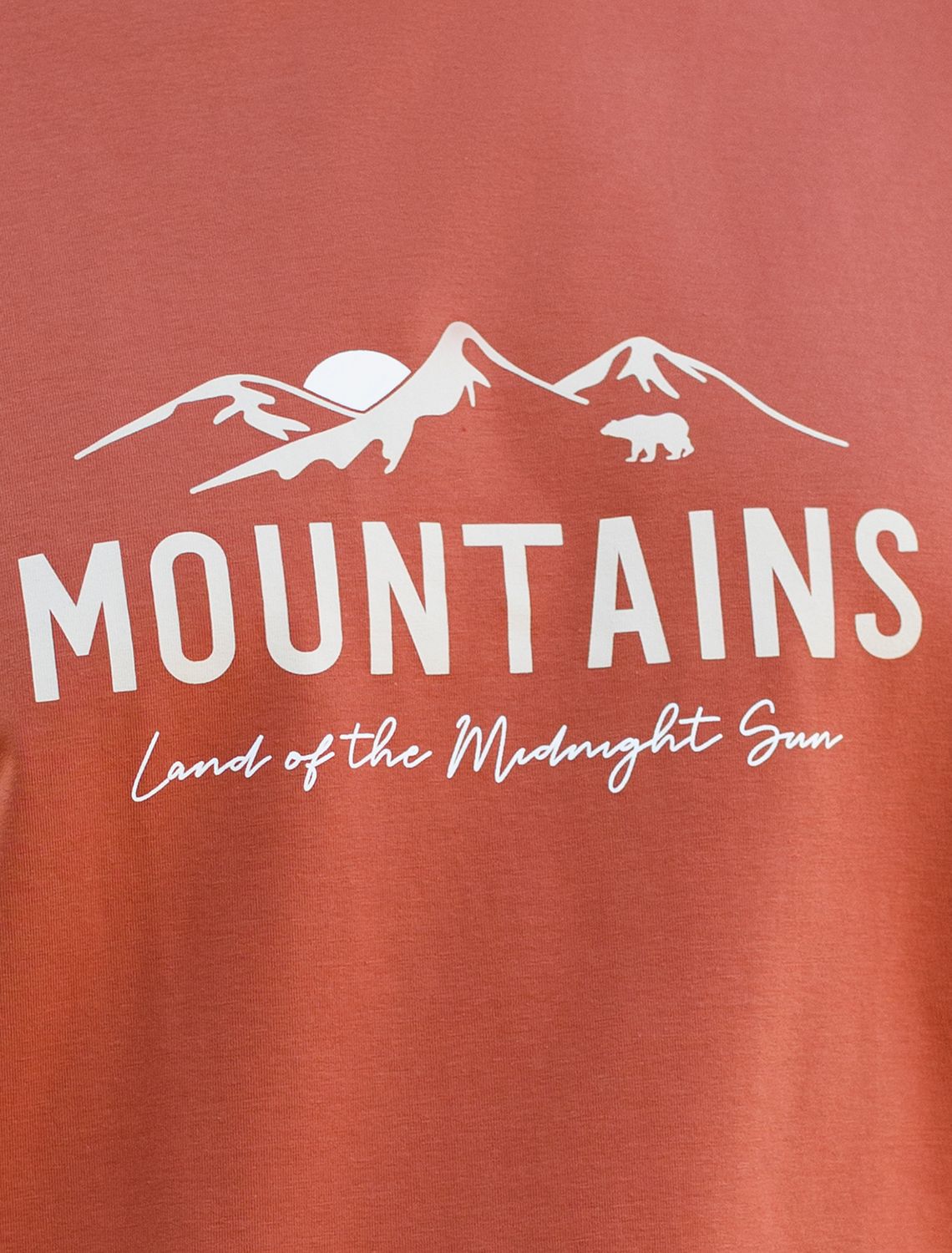 Футболка из премиального хлопка с авторским принтом U49.045 кирпичный_горы