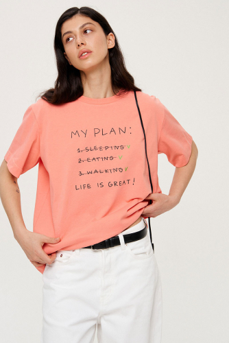 TAK DIVNO 1428.01 «my plan»