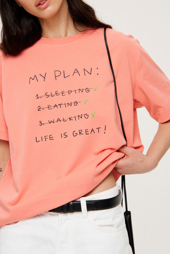 TAK DIVNO 1428.01 «my plan»