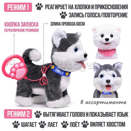 Собака 