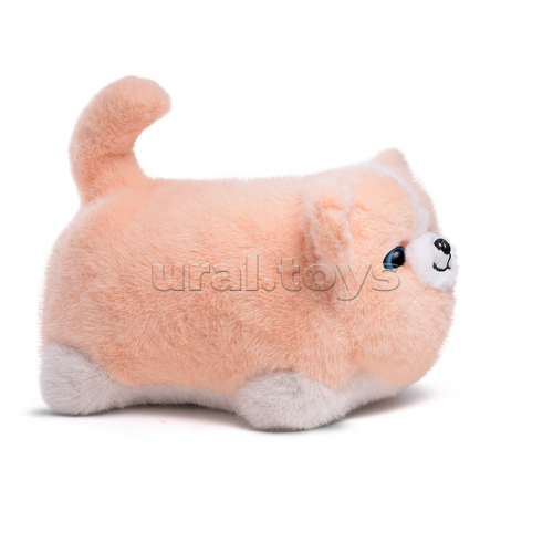 Собака 