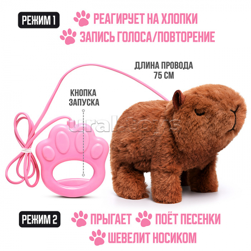 Капибара 