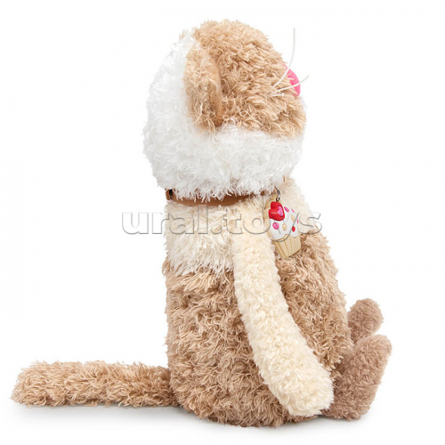 Кот Латте Коллекция 