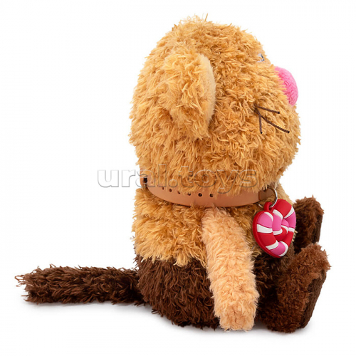 Кот Кортадо Коллекция 