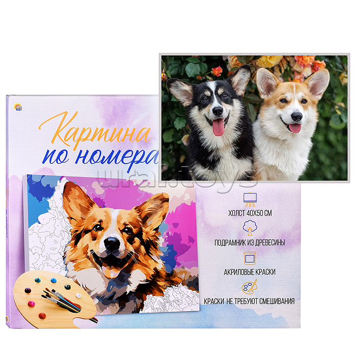 Холст с красками 40х50 по номерам (в коробке) (30цв.)
