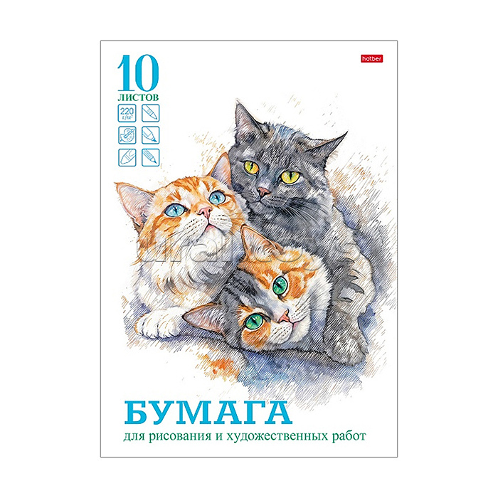Набор бумаги для рисования и художественных работ, 10л., А4ф, 220гр., в папке тиснение