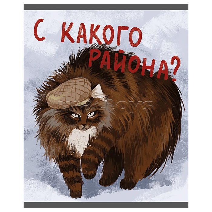 Тетрадь 48л. клетка