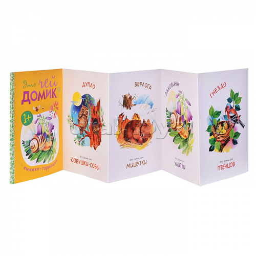 Книжка-гармошка 