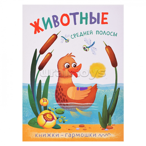Книжка-гармошка 