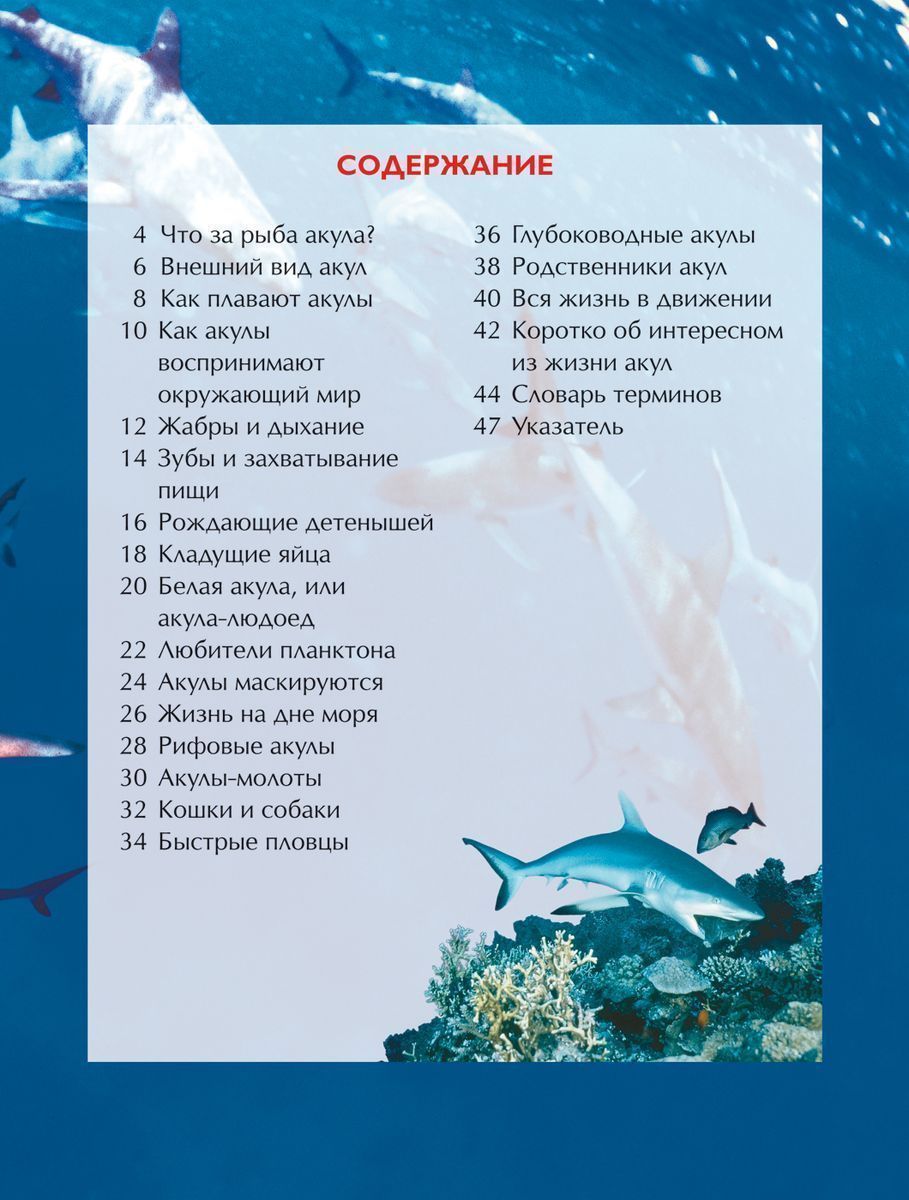 Акулы. Детская энциклопедия