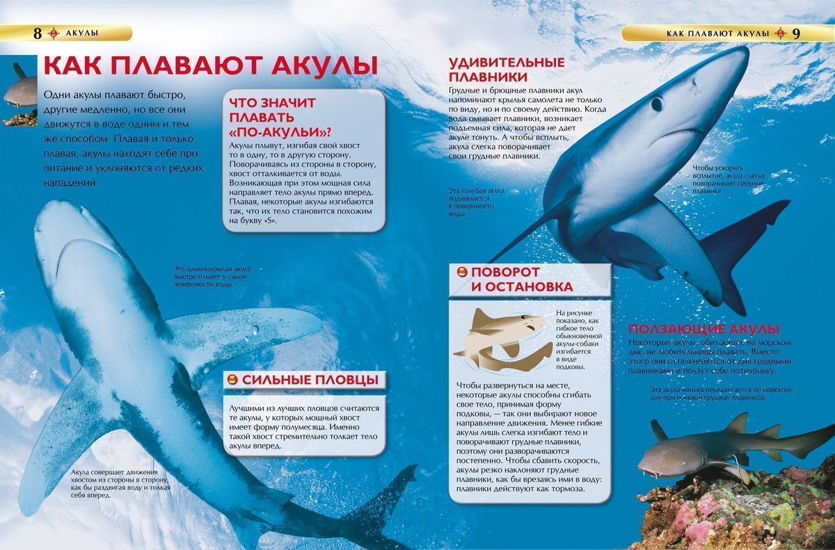 Акулы. Детская энциклопедия
