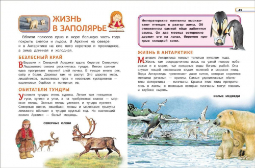 Уценка. Большая энциклопедия для детского сада
