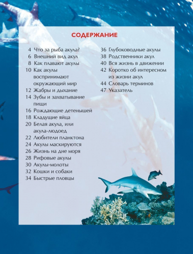 Акулы. Детская энциклопедия