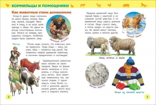 Уценка. Животные фермы. Энциклопедия для детского сада