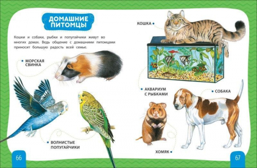 Уценка. Любимая энциклопедия малыша