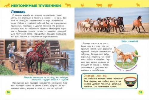 Уценка. Животные фермы. Энциклопедия для детского сада