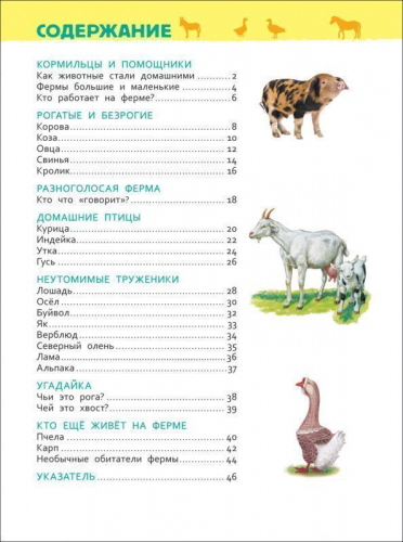 Уценка. Животные фермы. Энциклопедия для детского сада