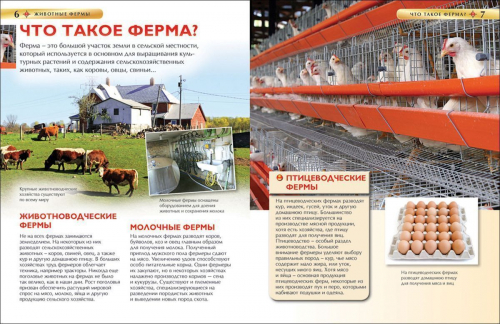 Животные фермы. Детская энциклопедия. Свинка