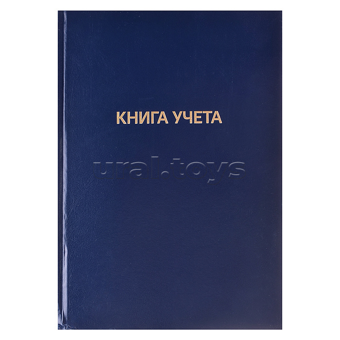 Книга учета A4 96 л в клетку, офсет 60 г/м², 92% белизна, твердая обложка из бумвинила, тиснение фольгой
