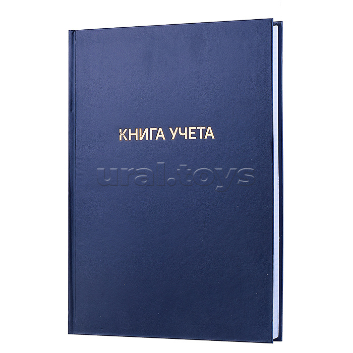 Книга учета A4 192 л в клетку, офсет 60 г/м², 92% белизна, твердая обложка из бумвинила, тиснение фольгой
