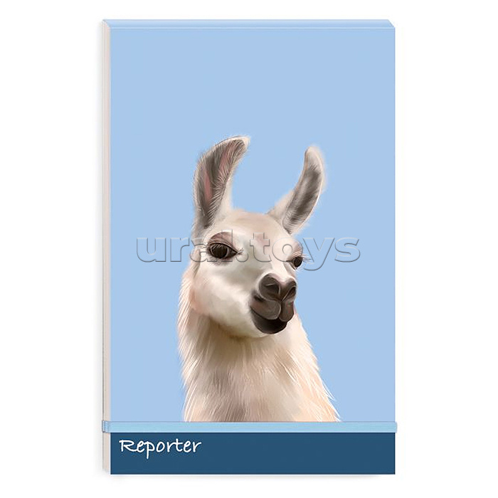 Записная книжка А5+, 100л