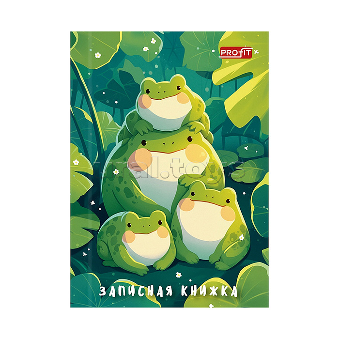 Записная книжка 48л. А7