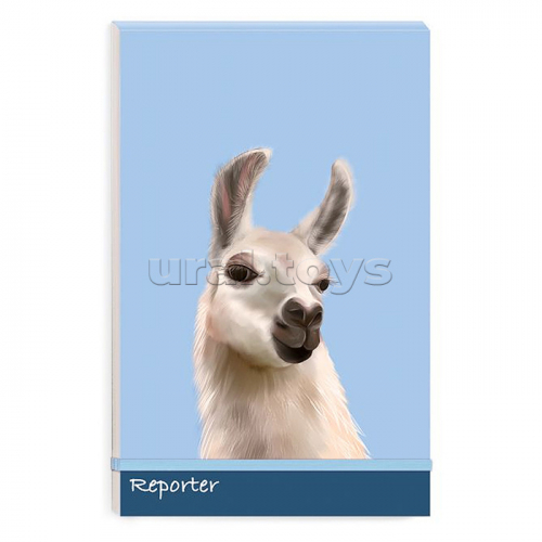 Записная книжка А5+, 100л 