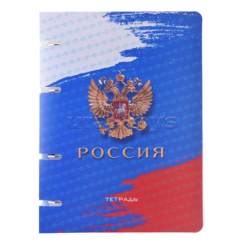 Тетрадь 80л. на кольц. А5 пл.обл., 