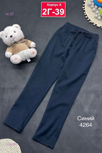 штаны 1959796-1