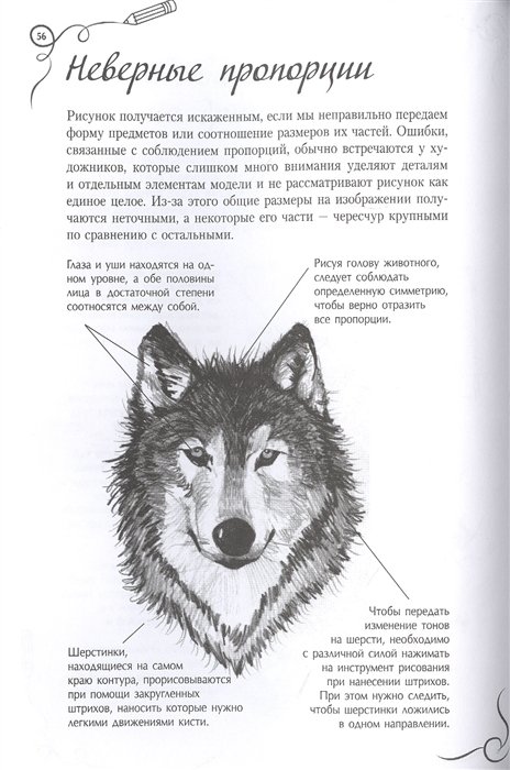 Типичные ошибки художников. Альбом для скетчинга