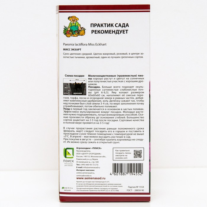 Пионы молочноцветковые Мисс Экхарт, 2-3 р-р, 1 шт. 90-100 h(см), Осень 2024