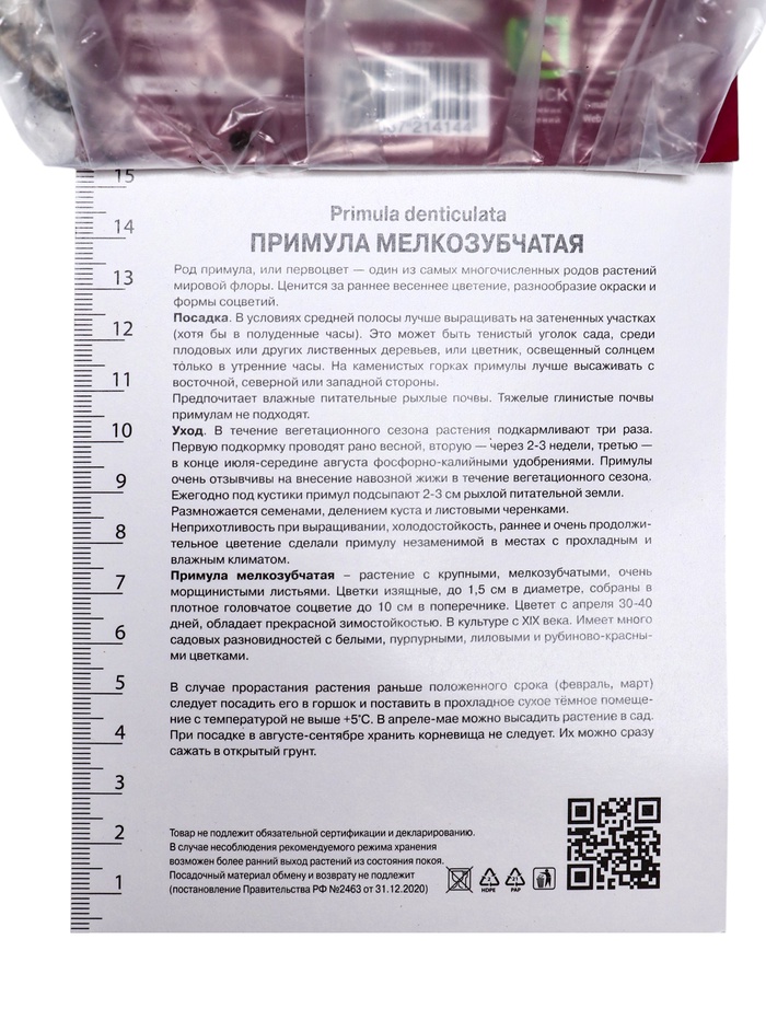 Примула мелкозубчатая Пинк, р-р I, 1 шт, Осень 2025