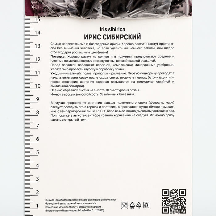 Ирис сибирский Сара Тиффни, р-р I, 1 шт, Осень 2025