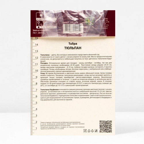 Тюльпан Кайфмана Иоганн Штраус, 11/12 р-р, 10 шт, 20 h(см), Осень 2025