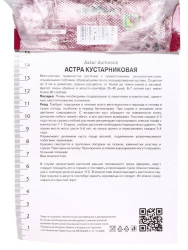 Астра кустарниковая Аннеке, р-р I, 1 шт, Осень 2025