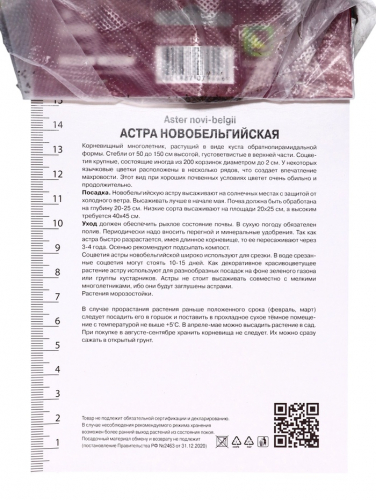 Астра новобельгийская «Мари Баллард», корневище в пакете с торфогрунтом, р-р I, 1 шт.