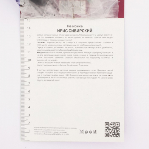 Ирис сибирский Конкорд Краш, р-р I, 1 шт, Осень 2025