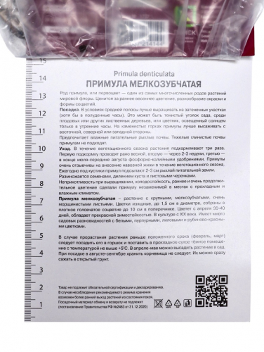 Примула мелкозубчатая Пинк, р-р I, 1 шт, Осень 2025