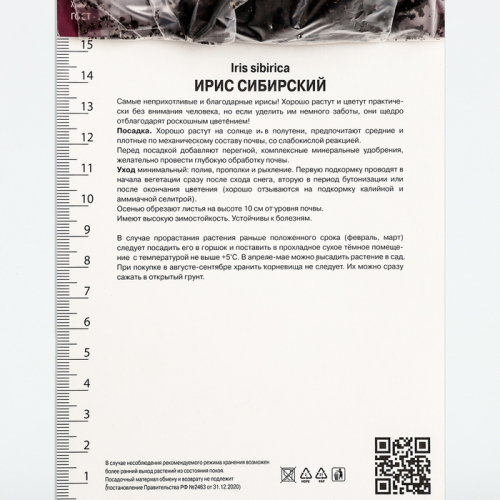 Ирис сибирский Сара Тиффни, р-р I, 1 шт, Осень 2025