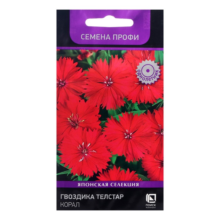 Семена цветов Гвоздика Телстар