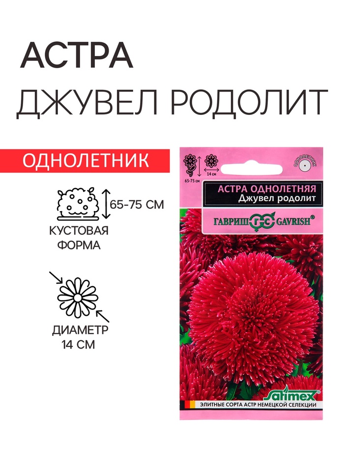 Семена Астра