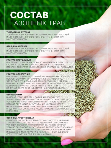 Семена газонной травы «Футбольный ковер», 1,8 кг