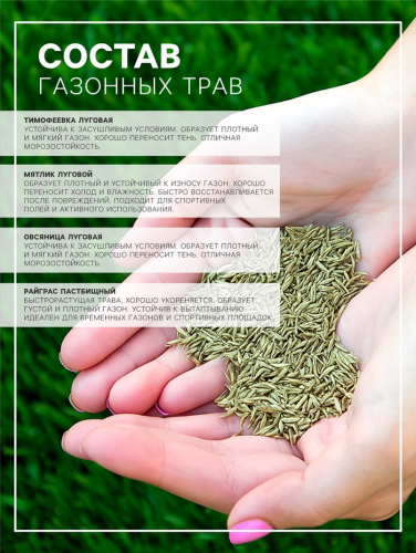 Газонная травосмесь 