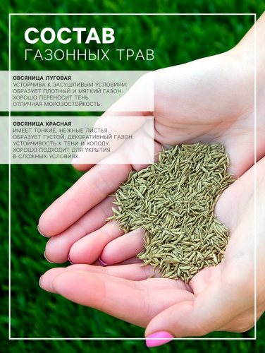 Газонная травосмесь 