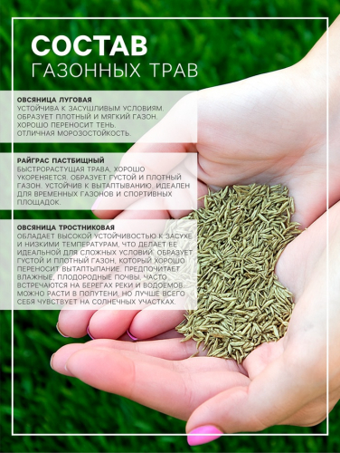 Газонная травосмесь 